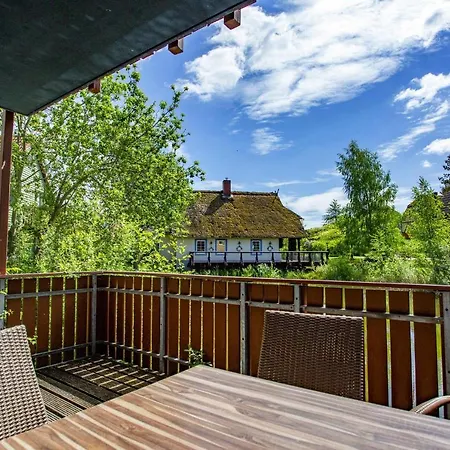 Holiday Beech Fleesensee Gohren-lebbin - Dms02131-cyd *
