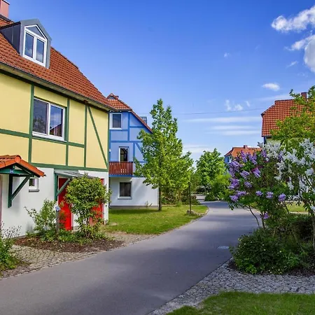 Lejlighed Holiday Beech Fleesensee Gohren-lebbin - Dms02131-cyd *