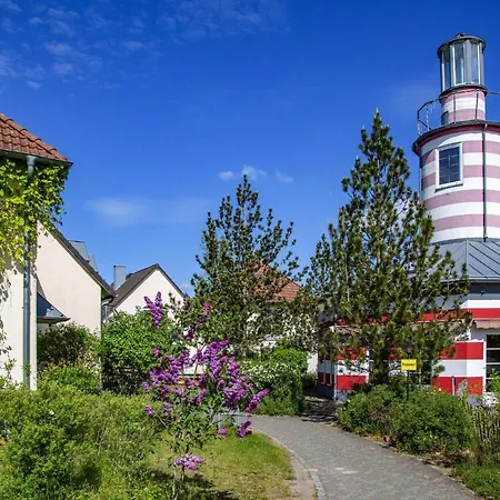 Lejlighed Holiday Beech Fleesensee Gohren-lebbin - Dms02131-cyd